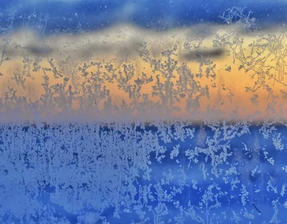 Frosty Patterns on My Windowpane