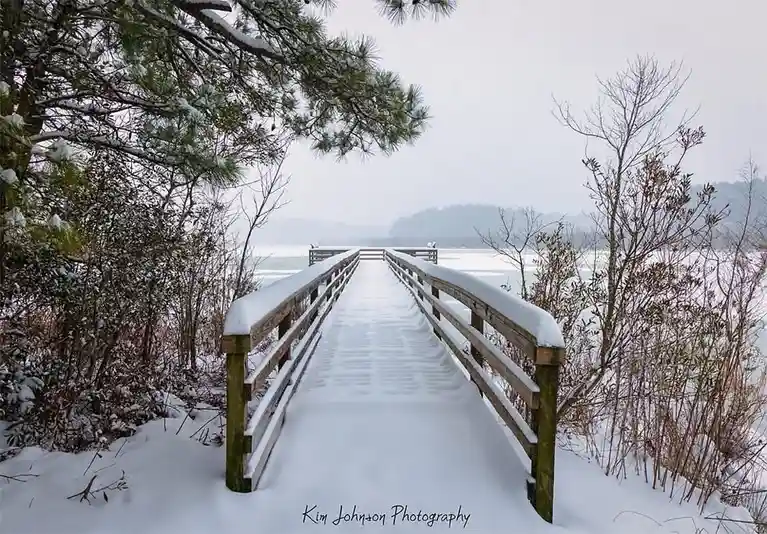 A snow-covered wooden boardwalk leads toward a frozen lake under an overcast sky, flanked by snow-dusted pine and bare…