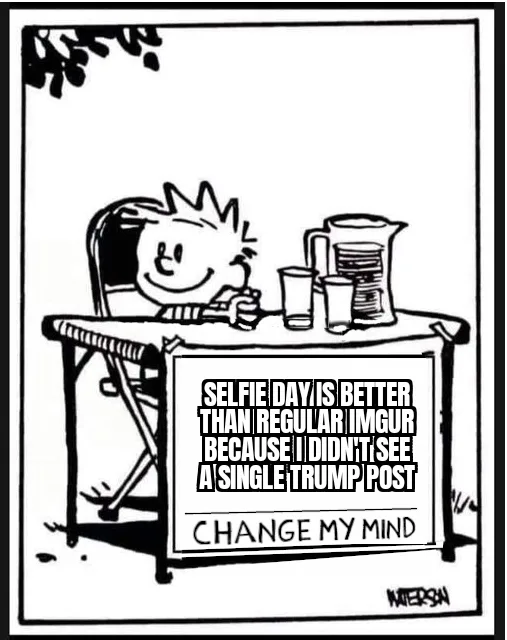 More Selfies, Less Politics!
