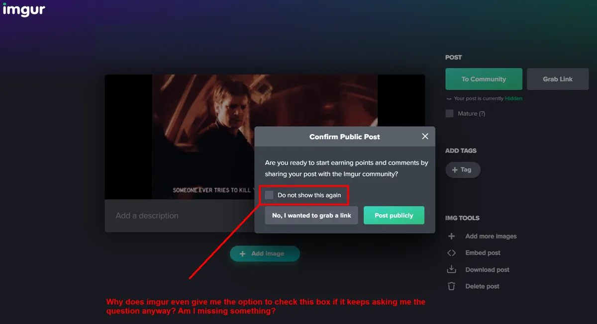 An Imgur post interface shows a 'Confirm Public Post' dialog box asking if the user is ready to share publicly, with a…