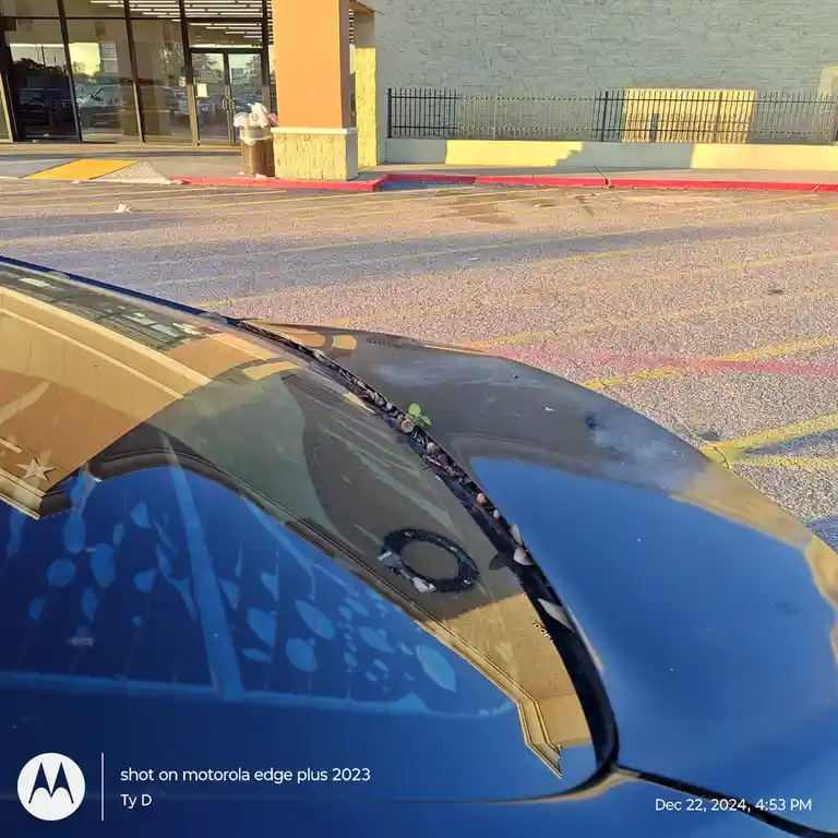 A close-up photo from inside a blue car shows a small green plant sprouting from the crack in the windshield wiper. The car…