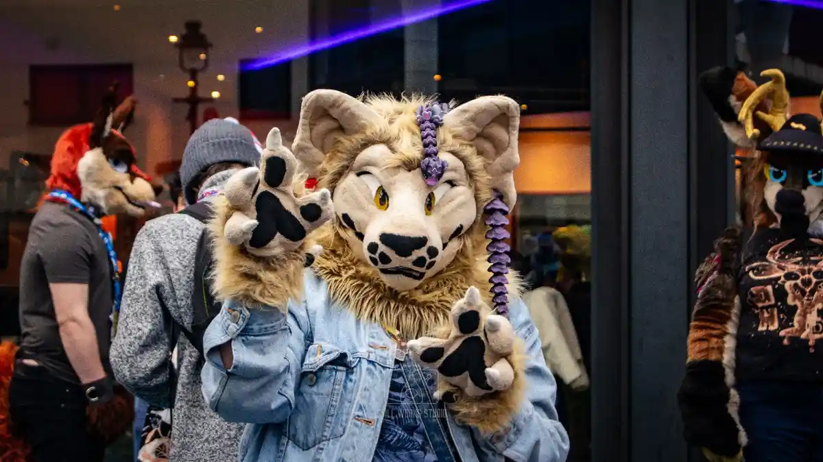 A person in a detailed fursuit of a cheetah-like animal with purple beaded accessories and a denim jacket holds up both paws…