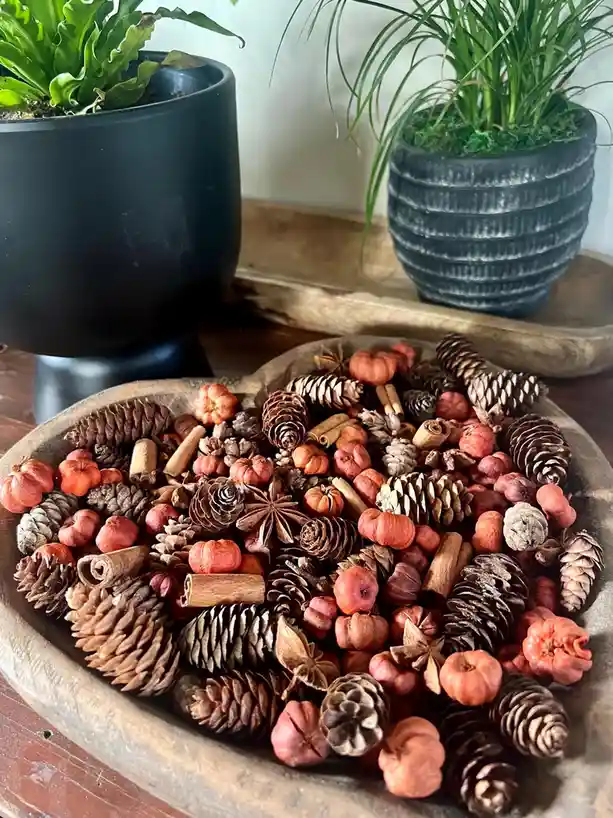 A wooden bowl filled with pinecones, cinnamon sticks, star anise, and small orange pumpkins sits on a wooden table, with two…