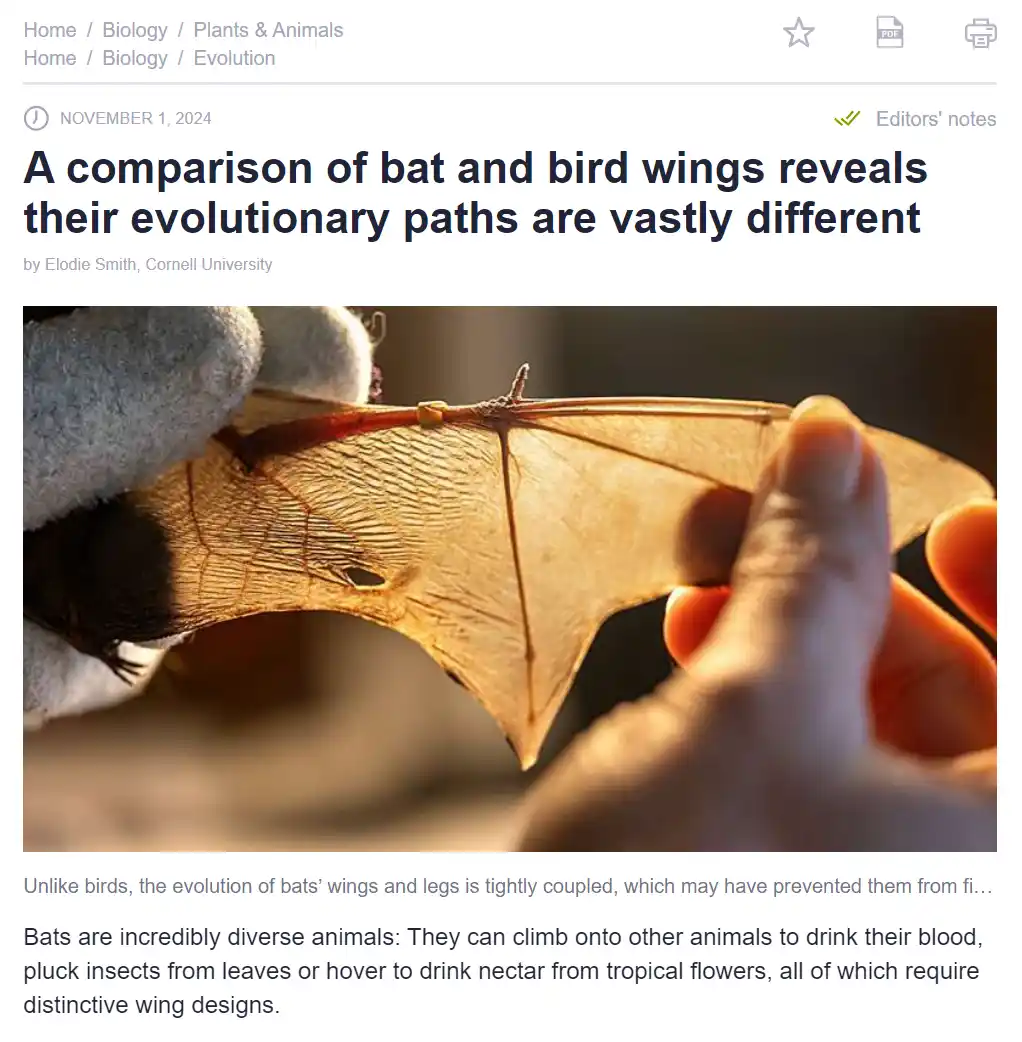 Fascinating Insights into the Evolutionary Journey