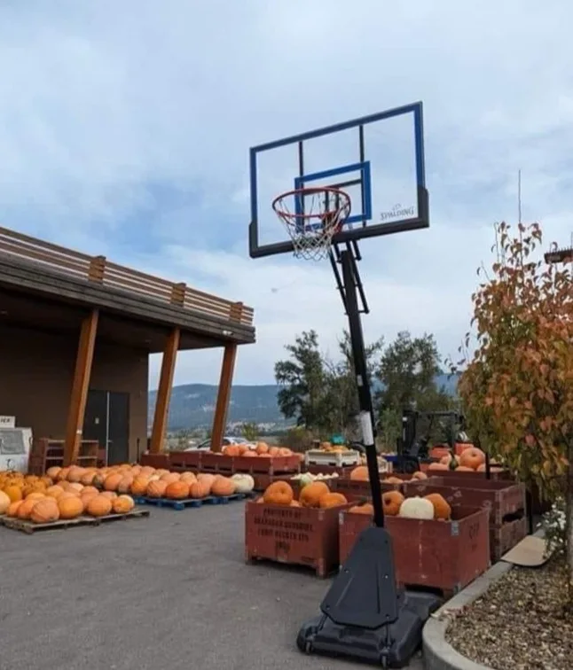 An outdoor basketball hoop stands in a paved area surrounded by numerous pumpkins piled in wooden crates and on pallets…