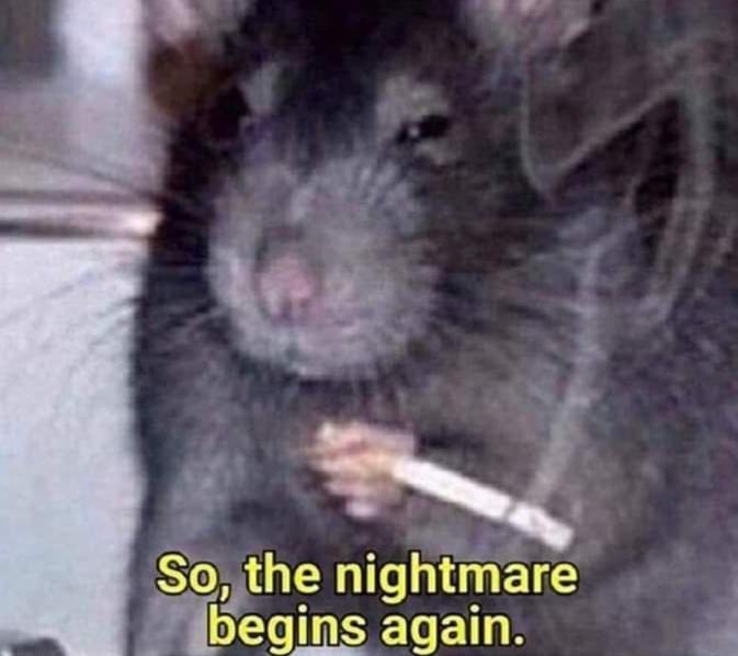 A blurry, low-resolution image of a dark-furred rat holding a cigarette between its paws, looking directly at the camera…