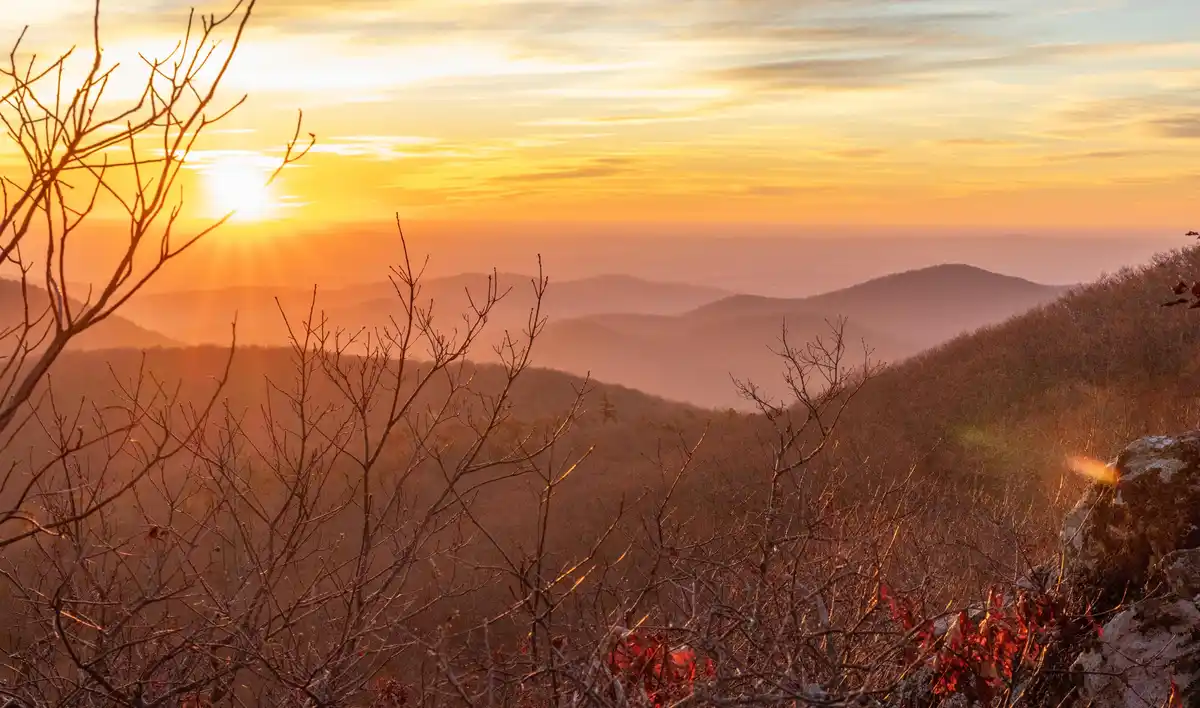 A scenic photograph of a sunrise or sunset over rolling, misty mountains, framed by bare tree branches in the foreground…