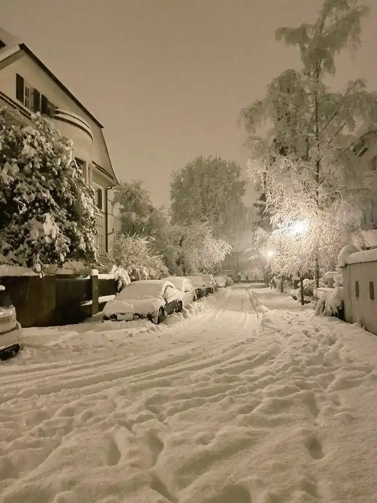 A nighttime street scene covered in deep snow, with parked cars buried under snowdrifts and snow-laden trees lining the…