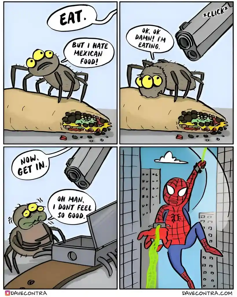 It's Taco Tuesday, Everyone! Let's Celebrate!