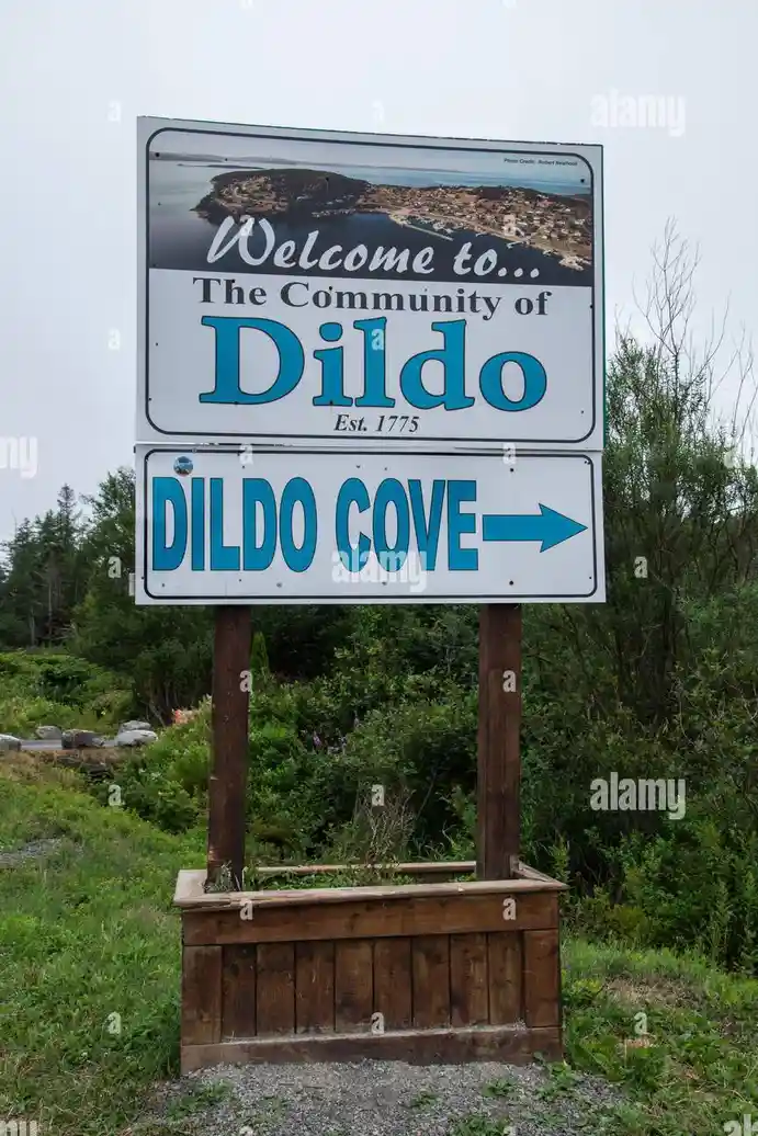 An adventure to an unknown destination