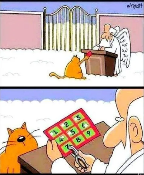 A two-panel cartoon shows a cat approaching an angel at a podium in a snowy setting. In the top panel, the cat holds a red…