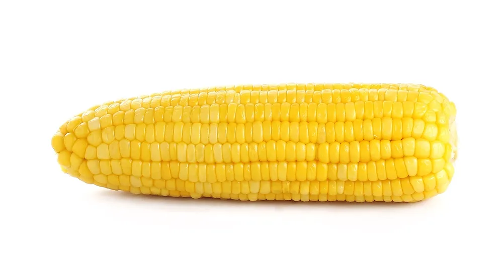 A single, bright yellow ear of corn on the cob is shown against a plain white background. The image is overlaid with the…