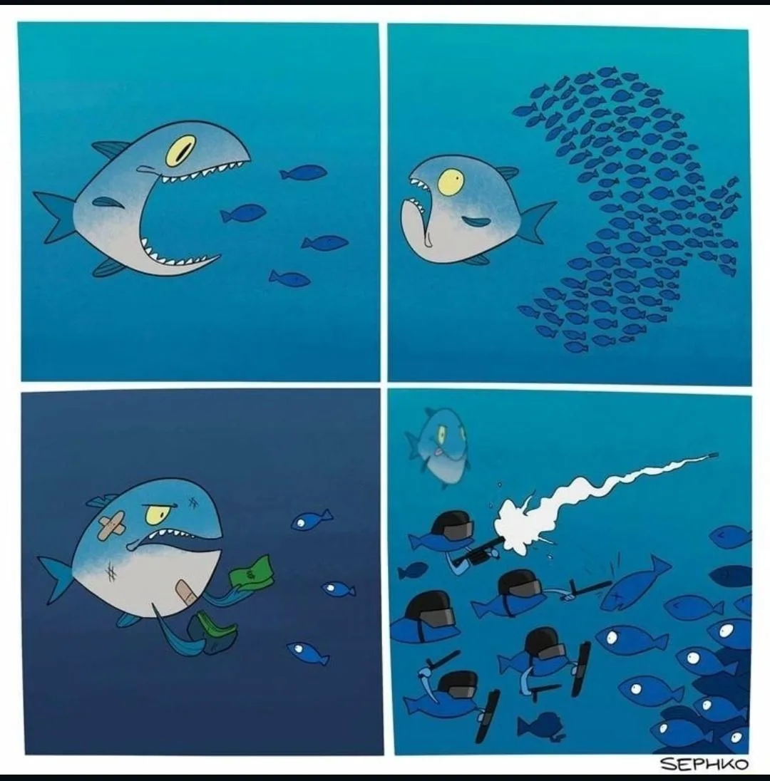 A four-panel comic shows a shark initially hunting small fish, then being overwhelmed by a school of fish. The shark is…
