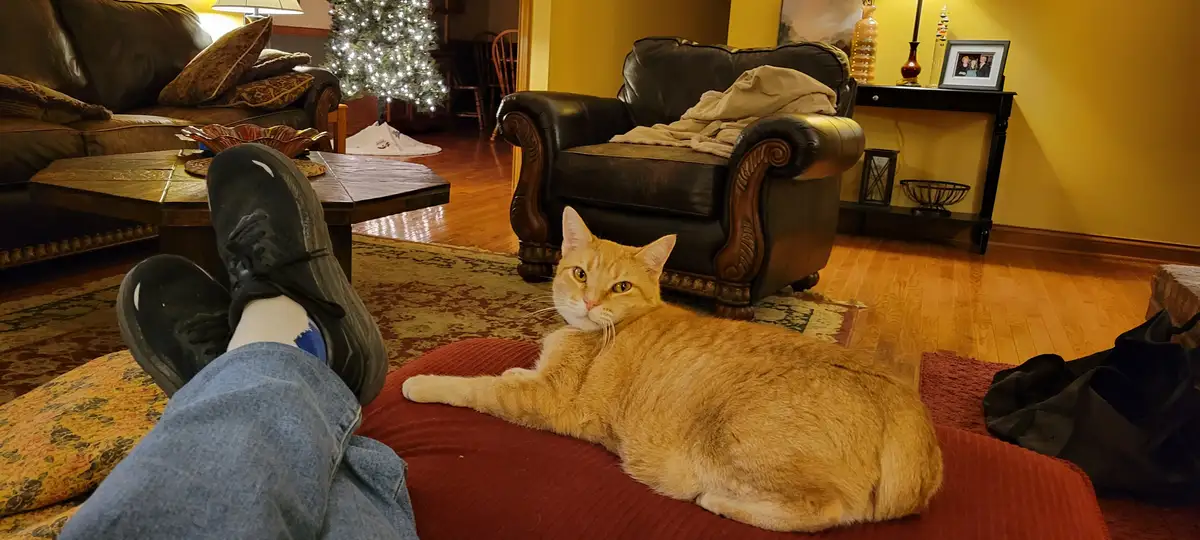 Another Charming Cat to Adore