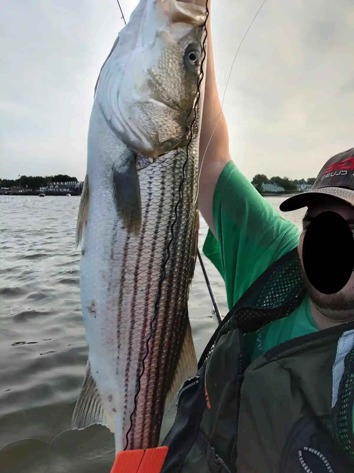 A person wearing a green shirt and a cap holds up a large striped bass fish by its mouth with a fishing line, standing on a…