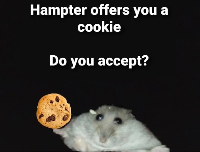 A white hamster is shown against a black background, holding a chocolate chip cookie in its paw. White text above reads…