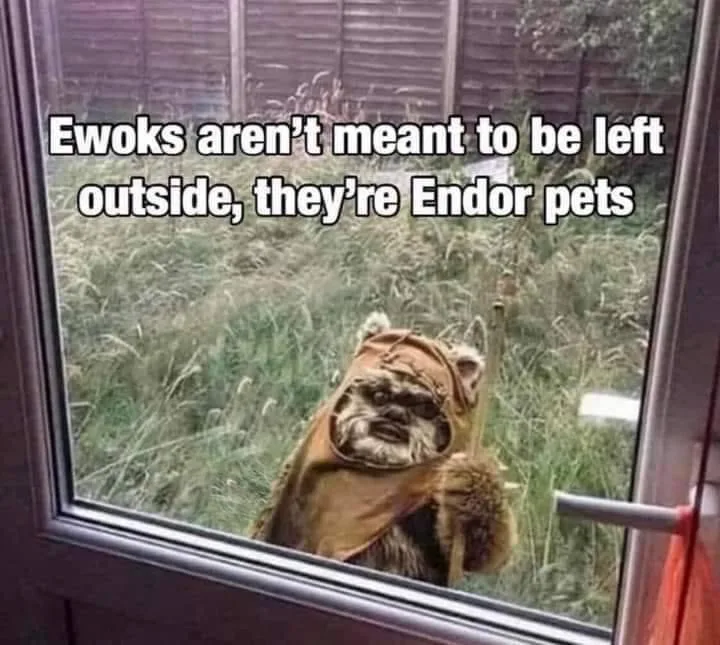 A small dog wearing a brown, furry Ewok costume with a headpiece and holding a stick stands outside a glass door, looking in…