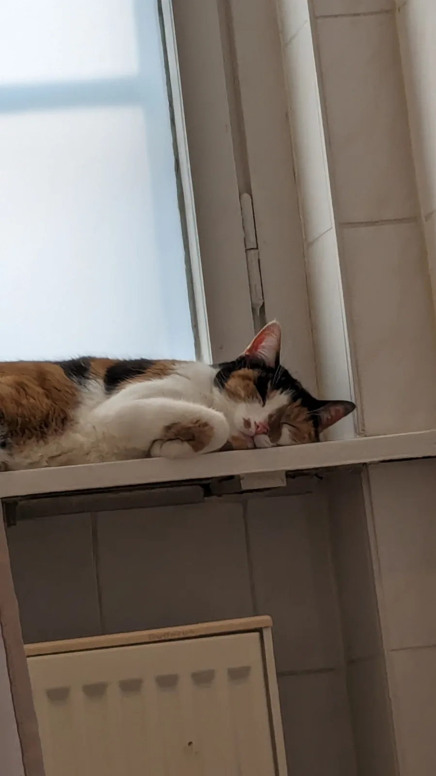 A calico cat with black, orange, and white fur is curled up and sleeping soundly on a white windowsill. The window behind it…
