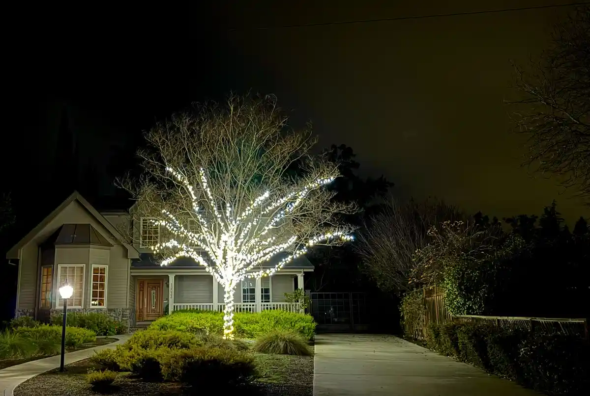 A bare-branched tree in a residential yard at night is wrapped in bright white string lights, creating a glowing effect…