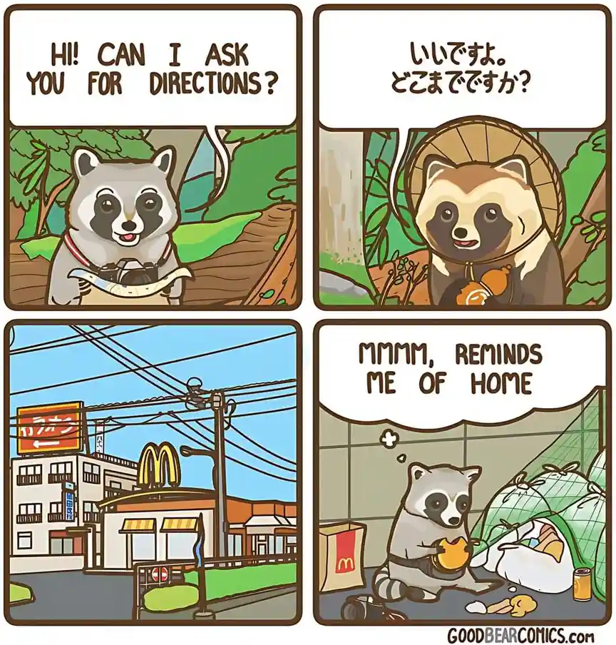 A four-panel comic strip featuring cartoon raccoons. In the first panel, a raccoon asks for directions. The second panel…